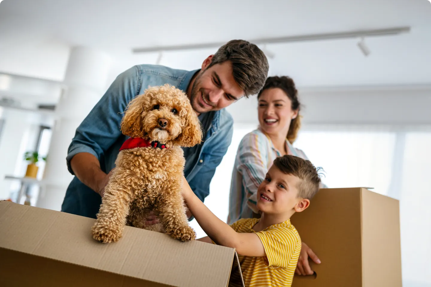 Family reviewing home information together